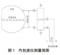 高精度投入式液位變送器在帶壓容器中應(yīng)用案例分析